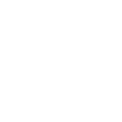 The-Music-Experience