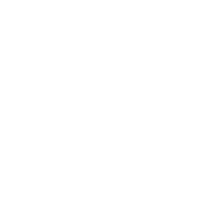 TaylorFoundation-750
