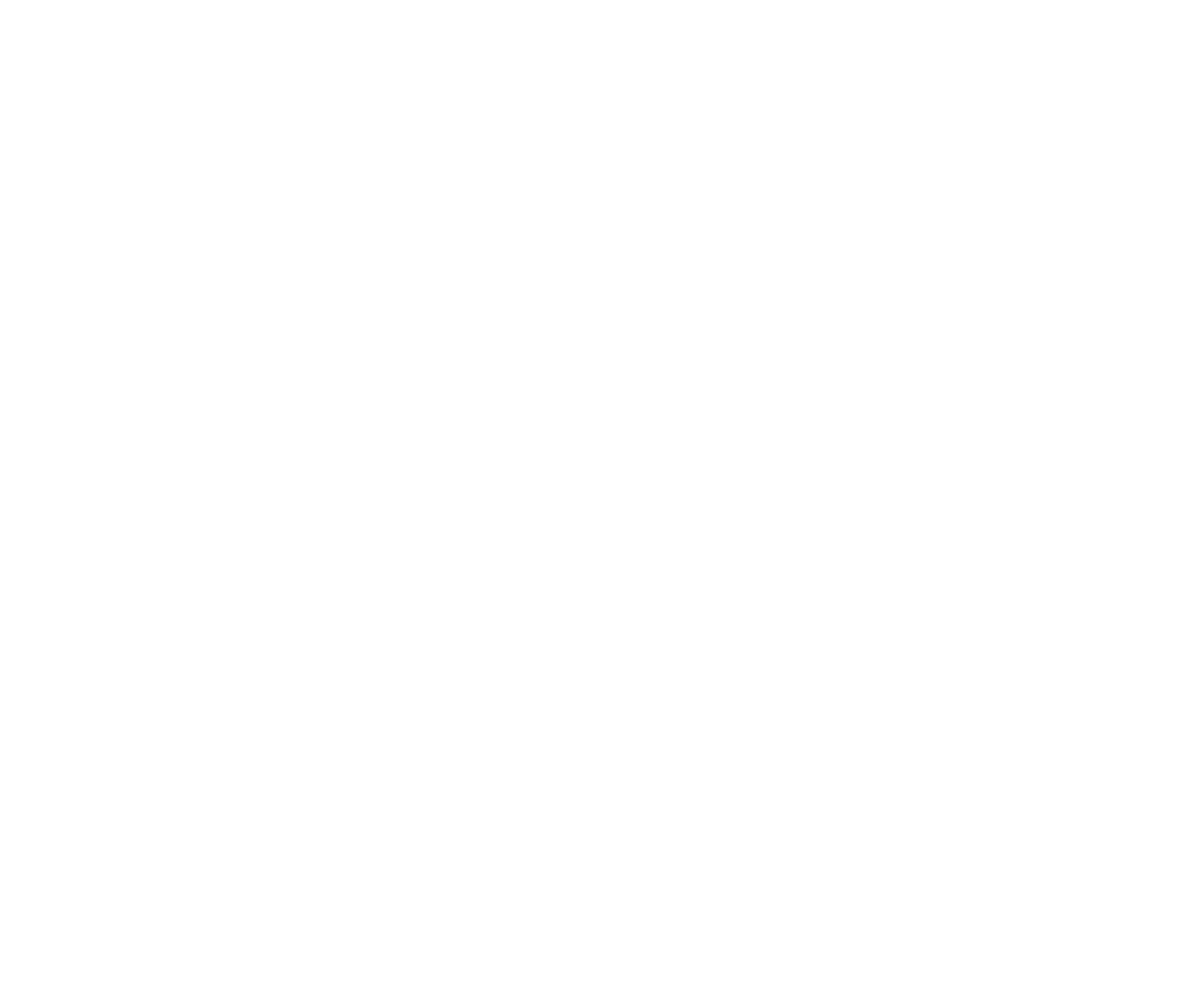 American Socks Logo_White(1)
